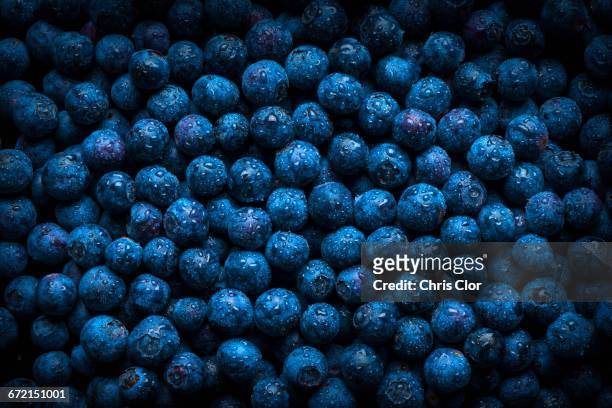pile of fresh wet blueberries - blueberries stock-fotos und bilder