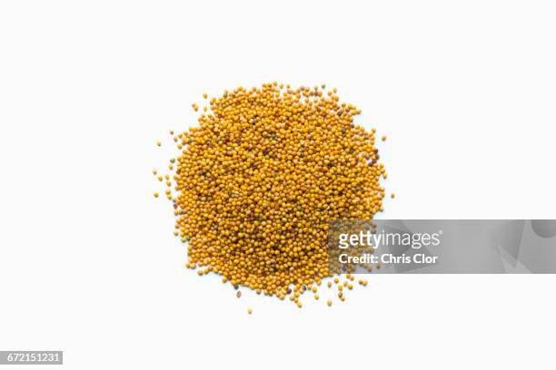 pile of mustard seeds in shape of a circle - moutarde assaisonnements et vinaigrettes photos et images de collection