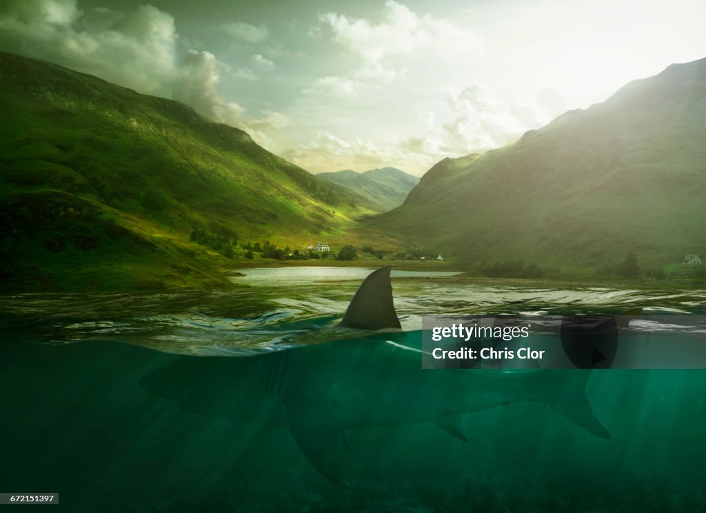 Shark swimming in lake near mountains