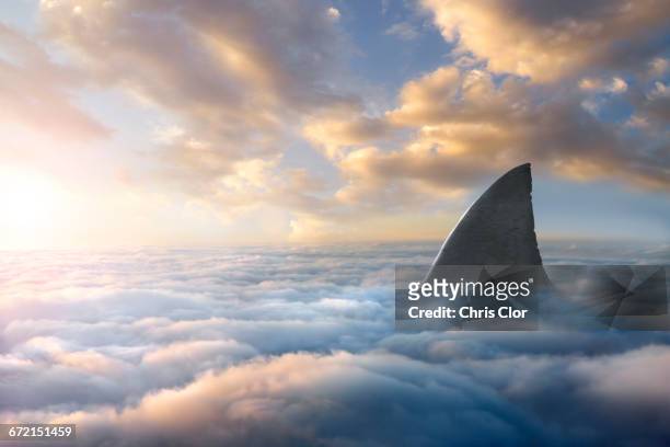 shark fin above clouds - pinna animale foto e immagini stock