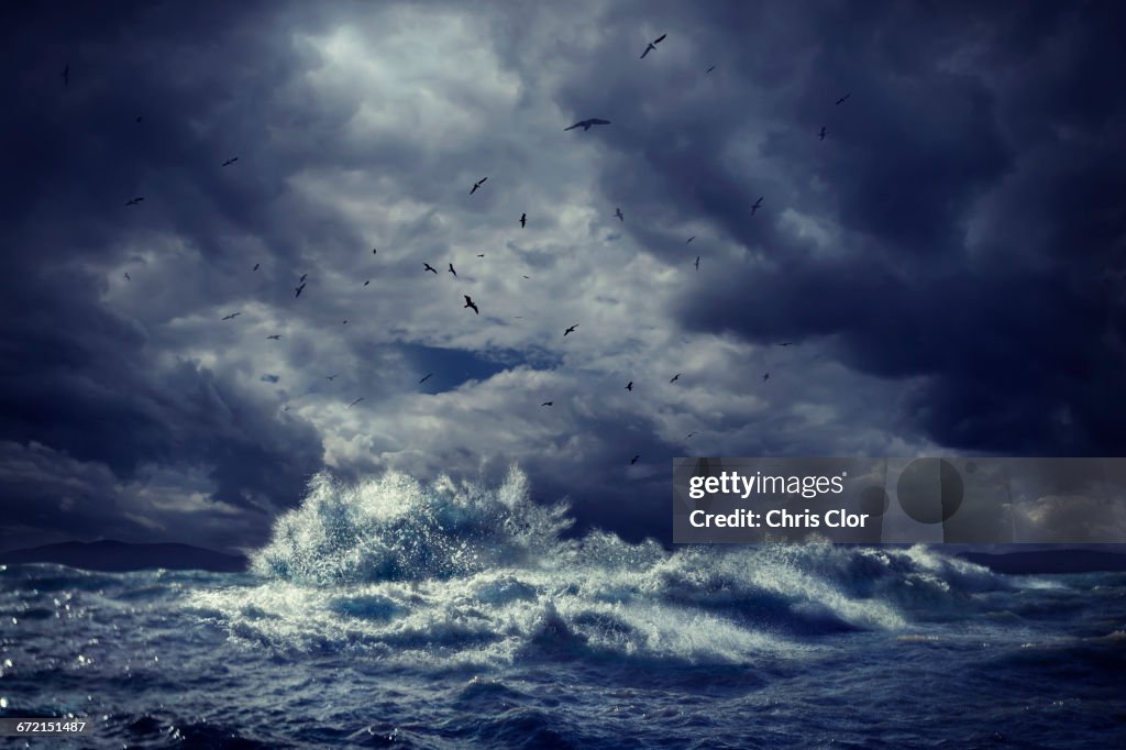 Birds flying over rough ocean waves