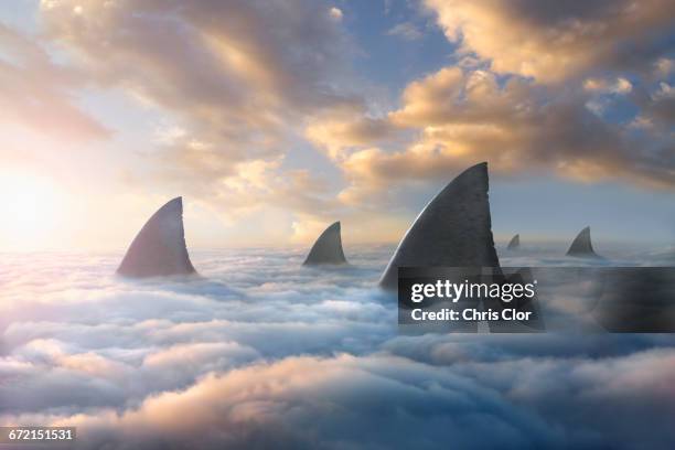 shark fins above clouds - chris dangerous stock pictures, royalty-free photos & images