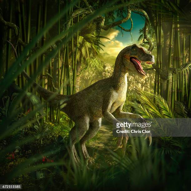 ilustraciones, imágenes clip art, dibujos animados e iconos de stock de velociraptor dinosaur in lush green jungle - velociraptor