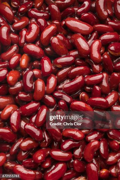 pile of red kidney beans - haricot photos et images de collection