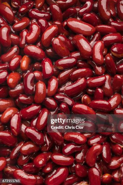pile of red kidney beans - kidney bean stock pictures, royalty-free photos & images