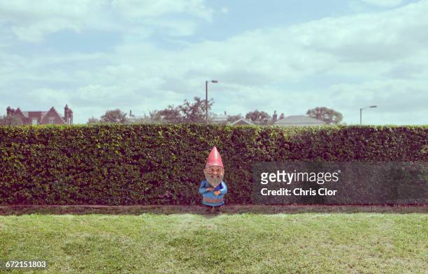 garden gnome near hedge - jardin haie photos et images de collection
