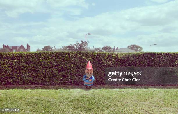 garden gnome near hedge - gnomo da giardino foto e immagini stock