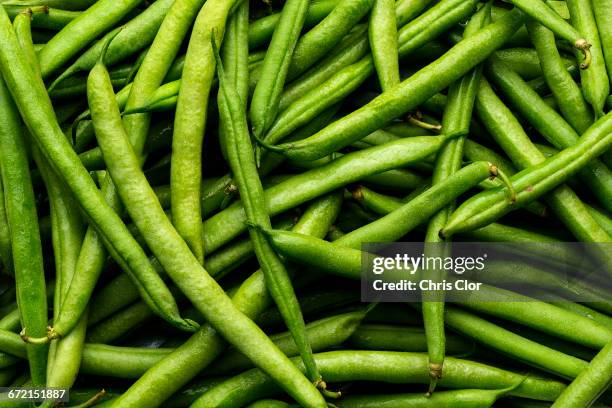 pile of green string beans - bean stock pictures, royalty-free photos & images