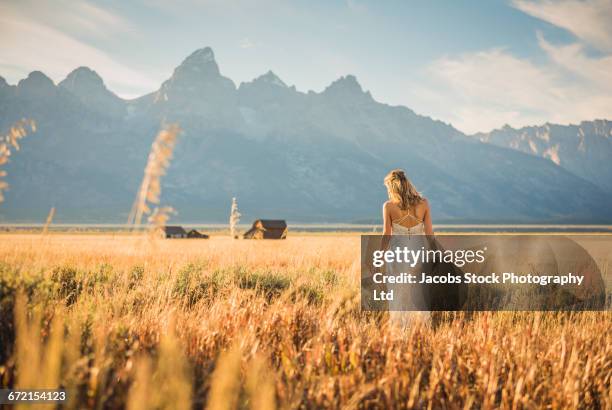 hispanic woman in white dress standing in tall grass - female looking away from camera serious thinking outside natural stock pictures, royalty-free photos & images