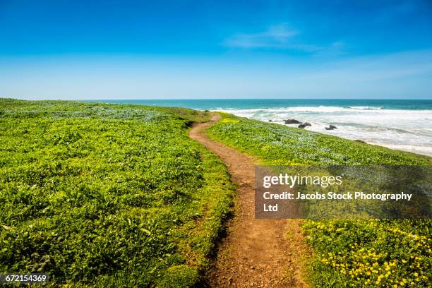 dirt path on hill at ocean - mendocino county stock pictures, royalty-free photos & images