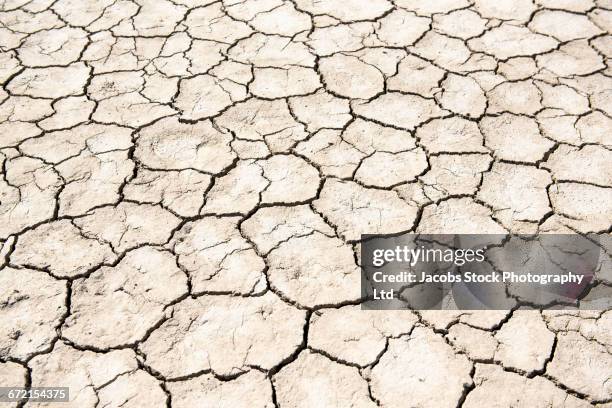 close up of cracked dirt - elko nevada stock pictures, royalty-free photos & images