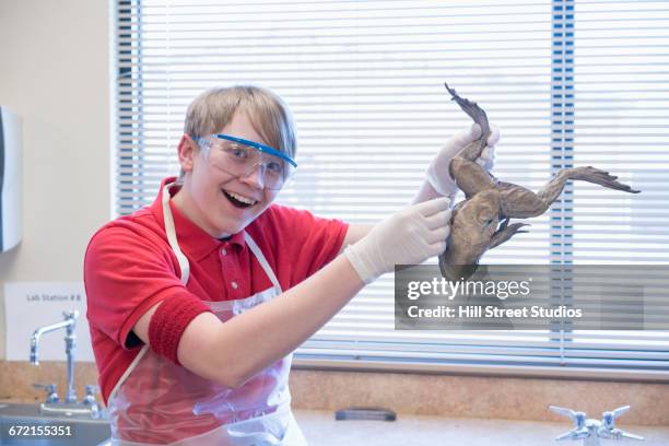 caucasian boy posing with frog in science classroom - frog dissection stock pictures, royalty-free photos & images