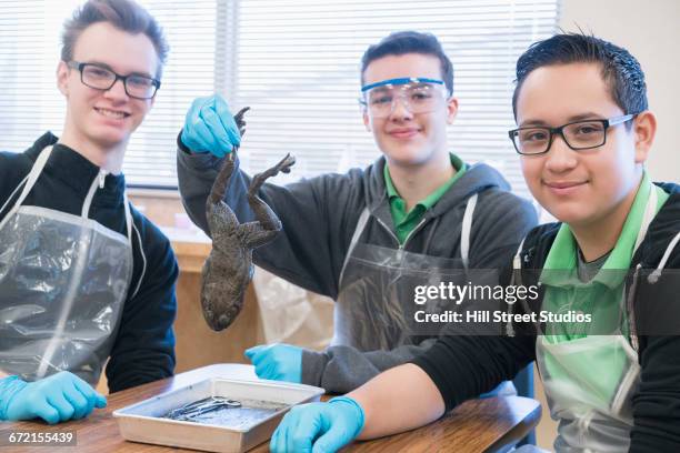 boys posing with frog in science classroom - frog dissection stock pictures, royalty-free photos & images