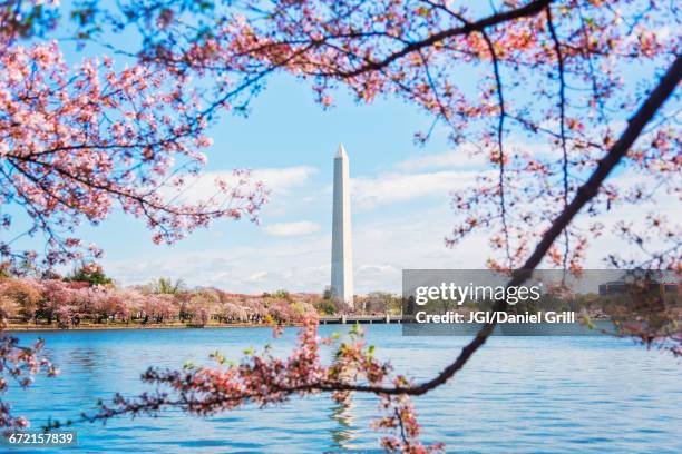 distant washington monument, washington, district of columbia, united states,  - washington monument washington dc stock-fotos und bilder