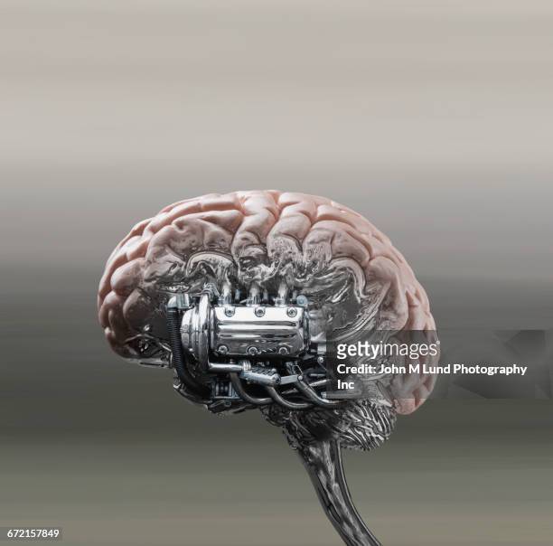 ilustrações de stock, clip art, desenhos animados e ícones de automobile engine powering brain stem - tronco cerebral