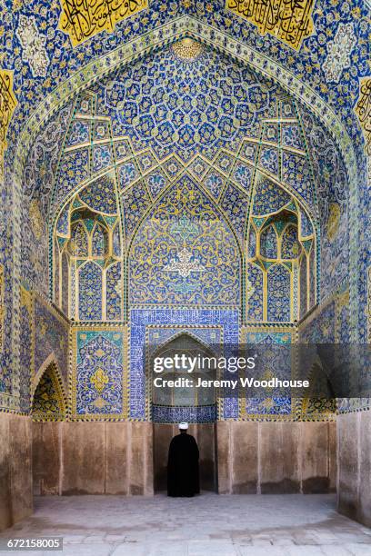 man praying at ornate shrine - mullah stock-fotos und bilder