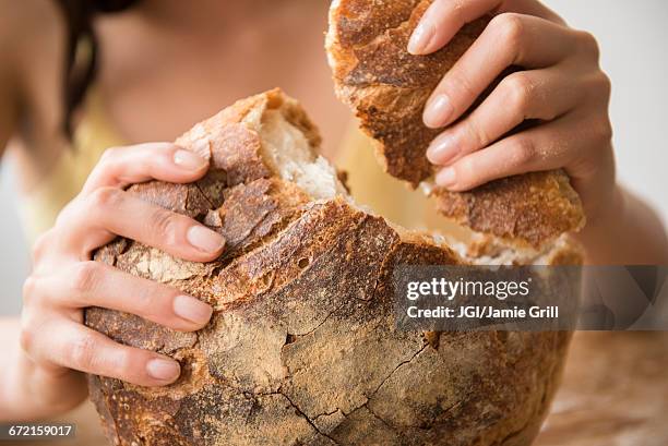 hispanic woman tearing round loaf of bread - loaf of bread bildbanksfoton och bilder