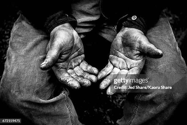 farmer showing rough hands - bianco e nero foto e immagini stock