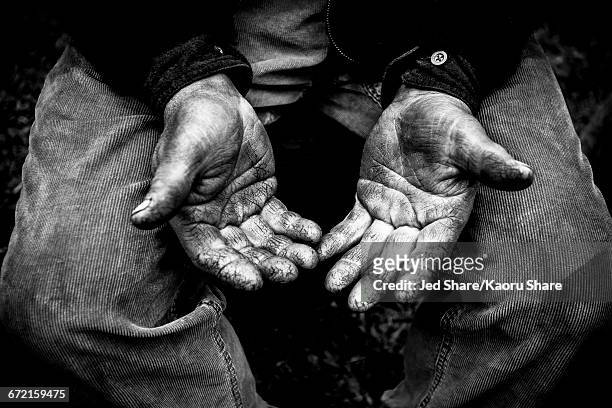 farmer showing rough hands - effort stock pictures, royalty-free photos & images