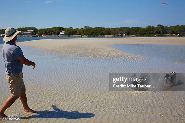 caucasian man throwing plastic disc for dog on beach - flying disc stock pictures, royalty-free photos & images