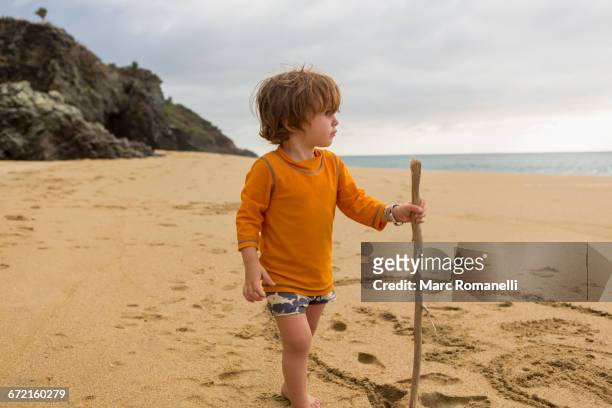 caucasian boy with walking stick on beach - 登山用ストック ストックフォトと画像