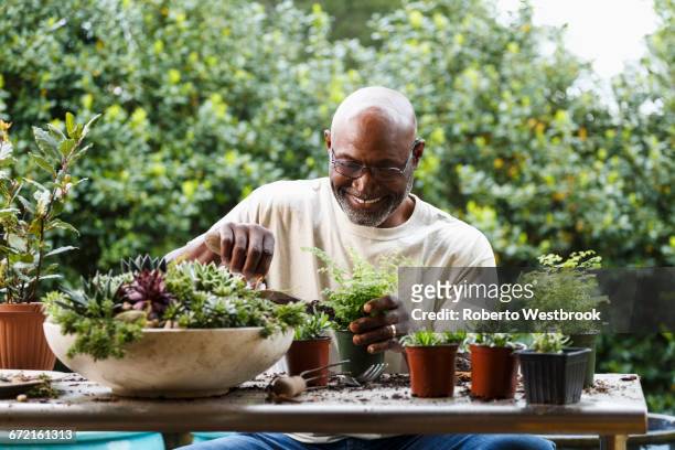 black man gardening at table outdoors - gardening foto e immagini stock
