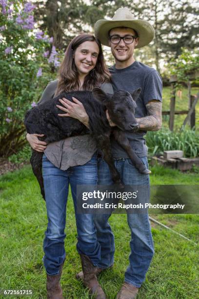 caucasian farmers carrying calf - couple portrait soft ストックフォトと画像