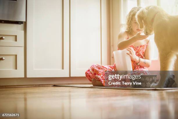 caucasian girl sitting on kitchen floor feeding dog - dog eats out girl stock-fotos und bilder