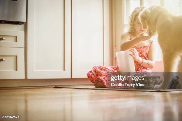 caucasian girl sitting on kitchen floor feeding dog - dog eating a girl out stock pictures, royalty-free photos & images