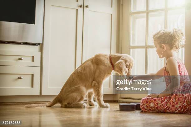 caucasian girl sitting on kitchen floor feeding dog - dog eats out girl photos et images de collection