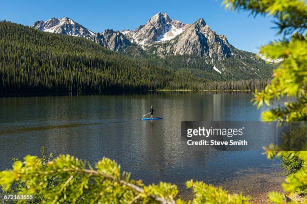 caucasian man on paddleboard on mountain lake - sawtooth national recreation area stock pictures, royalty-free photos & images