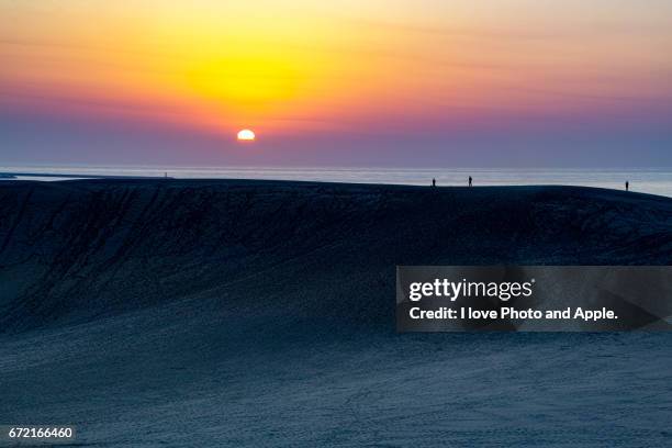 tottori sand dunes - 波紋 stock pictures, royalty-free photos & images