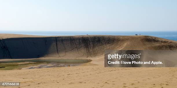 tottori sand dunes - 壁 stock pictures, royalty-free photos & images