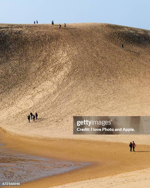 tottori sand dunes - 壁 stock-fotos und bilder