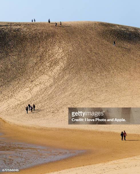 tottori sand dunes - 池 fotografías e imágenes de stock