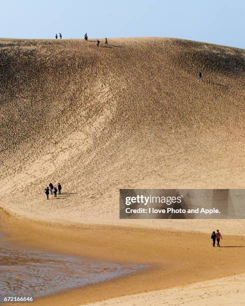 tottori sand dunes - 波紋 stock pictures, royalty-free photos & images