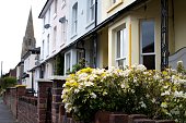 Flowers in front of pretty row of colourful houses in Maidenhead, England, UK