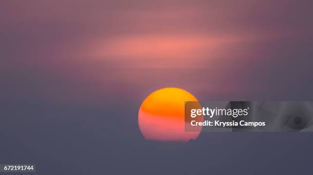 hazy morning atmosphere in costa rica / global warming - stars v heat stock pictures, royalty-free photos & images