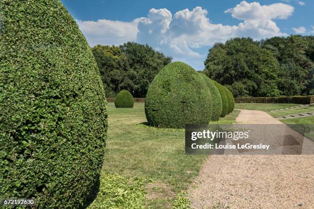 round topiaries in a row - topiary - fotografias e filmes do acervo