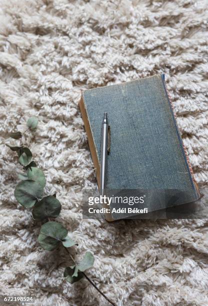 book with pen and eucaliptus flower - text book stock-fotos und bilder