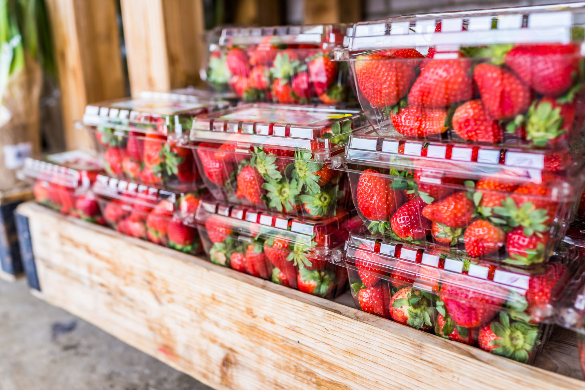 fruit packaging