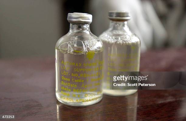 Bottles of a harmless strain of anthrax [strain 34F2] which has been cultured in Afghanistan for decades to make vaccines for sheep, sit on a table...