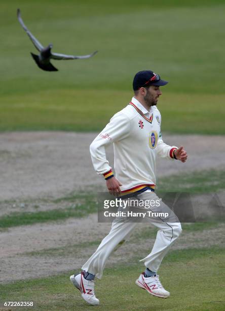 Mark Wood of Durham runs as birds fly past nearby during the Specsavers County Championship Division Two match between Gloucestershire and Durham at...