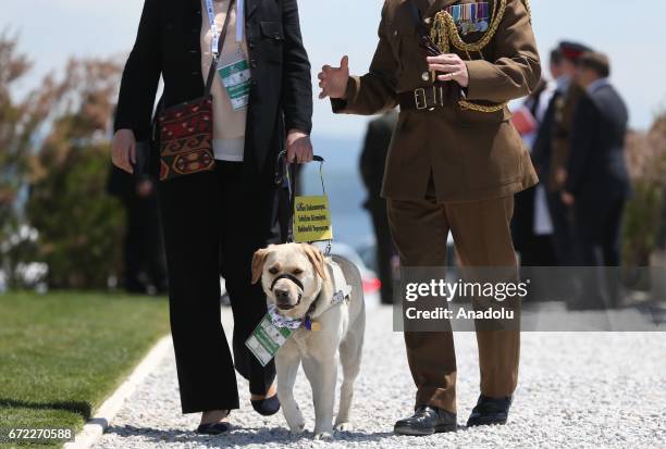 Ambassador Roderick Moore Turkey Richard Moore Photos and Premium High Res Pictures - Getty Images