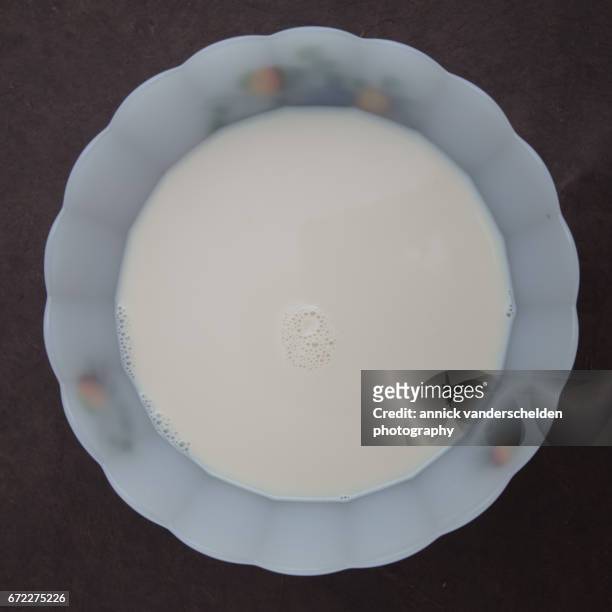 milk in a bowl. - saturated fat stock pictures, royalty-free photos & images