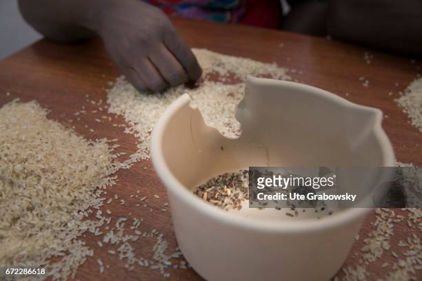 Dano, Burkina Faso Sorting out impurities from the paddy. Production of Parboiled Rice in a rice processing plant of the Dreyer Foundation in Dano on...