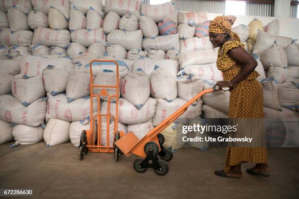 Dano, Burkina Faso An African worker pushes a wheelbarrow through a warehouse. Production of Parboiled Rice in a rice processing plant of the Dreyer...