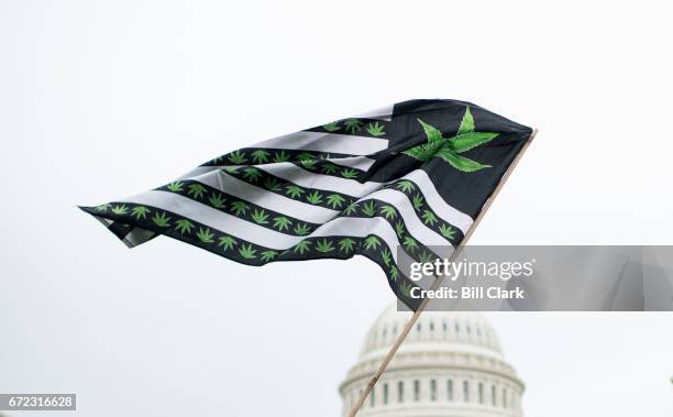 Flag redesigned with marijuana leaves blows in the wind as DCMJ.org holds a protest in front of the U.S. Capitol on Monday, April 24 to call on...