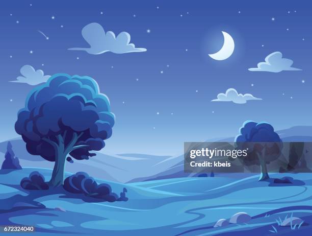 ilustraciones, imágenes clip art, dibujos animados e iconos de stock de paisaje nocturno - noche