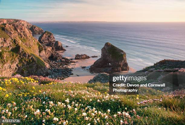 sunset at bedruthan steps, cornwall - cliff shore stock-fotos und bilder